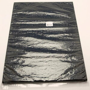 GvgV[[ 15×295×395mm WAKI(aCY) (EE-1010)