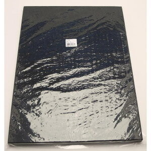 GvgV[[ 20×295×395mm WAKI(aCY) (EE-1010)