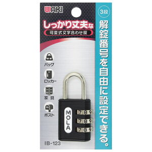 vȉώ킹 25mm  WAKI(aCY) (IB-123)