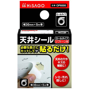 VV[ [^Cv Wvg[p 30mm×5m WAKI(aCY) (OP6000)