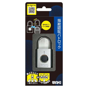 wF؏ 31mm Vo[ Vo[ WAKI (IB-166)
