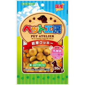 ペット工房 胚芽クッキー乳酸菌1100億個 30g ペットライブラリー