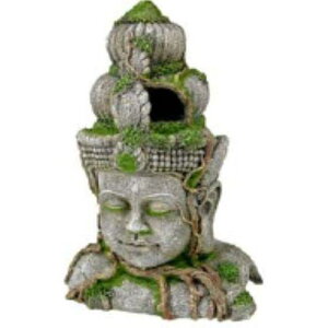 aquaneru I[ig ^C̐Α ybgCu[