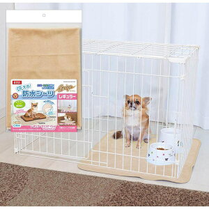 }J 􂦂hV[cM[BE  xbhEQEt@j`[ M[x[W