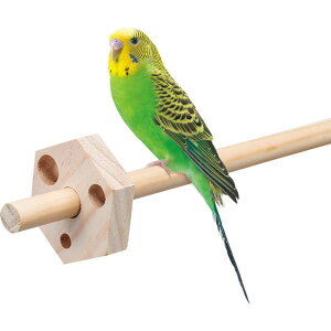 CASA ̗Vя tH[WOEbh }J