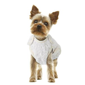 }J  ~ h o[Vu ~M ѕz  ߗ SS 