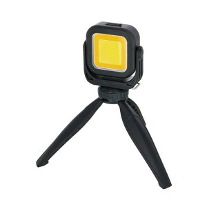 TAKAGI EARTH MAN 3.7V �[�d��COB���C�g�O�r�t�� WLT-10LiSB