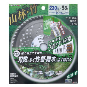 V EARTHMAN p `bv  R p `bv\[ 230mm × 58P 2082040 2082040