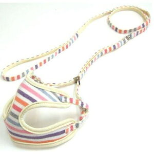 XgCv \tgn[lX[h 3S }`zCg 쐻쏊