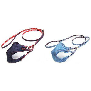 Rbgfj \tgn[lX [h SS lCr[ 쐻쏊