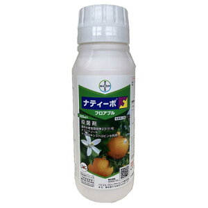 oCG ieB[{tAu 500mL Eۍ K[fjO \h  _