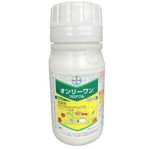 oCGNbvTCGX I[tAu 250mL _Ɩi Eۍ |pi ʎ Í