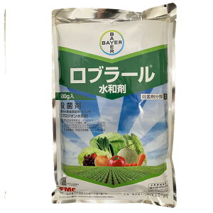 oCGNbvTCGX u[a 500g _Ɩi Eۍ |p  