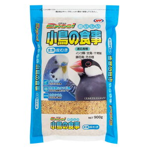 GNZ ̐Hނ 900g i`ybgt[Y