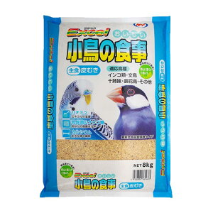 y[݌ɕiz i`ybgt[Y GNZ ̐H ނ 8kg CR  \o щԒ