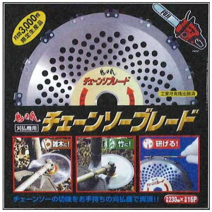 S̒ `F\[u[h @p 230x16p FB-002