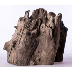 \lP~t@ Ϗ܋ Ϗ܋pANZT[pi X^vEbh SS