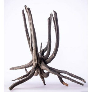 \lP~t@ Ϗ܋ Ϗ܋pANZT[pi O[u` LL