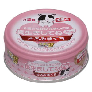 STIT[ ̂߂̂܂̓` Ă˂ 70g