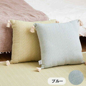 �C���h�ȏ��� 45×45 �u���[ �C���h�Ȕw���ăN�b�V���� 270078981