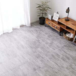 �t���A�^�C�� AGY �\���Ă͂����� �X�g�[���� 120���g 6�� 81965700