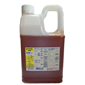Yw 24-DA~ (2L)  ԏ  Ő |
