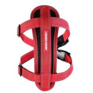 C[W[hbO n[lX XL bh V