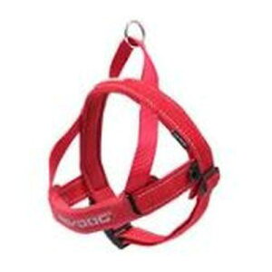 C[W[hbO NCbNn[lX M bh V