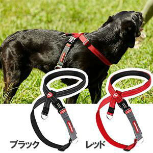 C[W[hbO NX`FbNn[lX XS ubN V