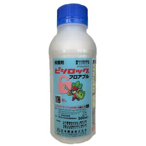 {B sVbNtAu 500mL Eۍ K[fjO \h  _ 