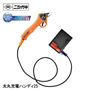 jVKL ۃnfB25  N-928  } [d ؒf