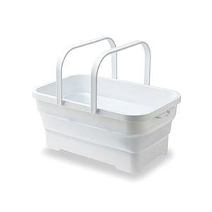 ISETO \tgoXPbg zCg ɐ