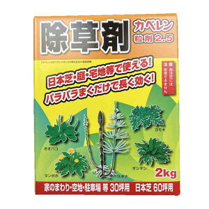 AOJlVE Jy2.5 (2kg) ԏ  Ő K[fjO  e