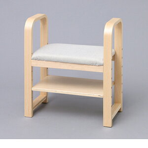 ACXI[} ֈ֎q i` GC-55