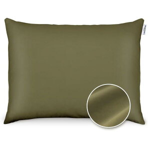 アイリスオーヤマ 枕カバー PWC-CS3550