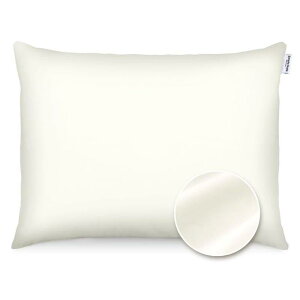 アイリスオーヤマ 枕カバー PWC-CS4060