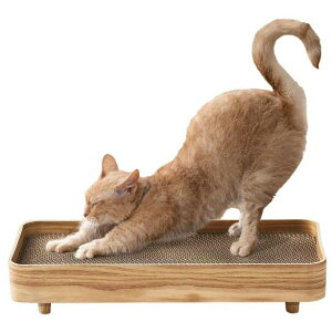 ACXI[} vCEbh܂ƂP[X PW-TC50