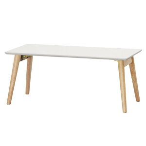 ACXI[} ܂݃Z^[e[u FCT-800