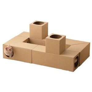 ACXI[} ˂˂gl glZbg P-NTT