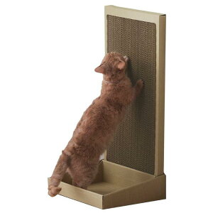 ACXI[} L̒܂Ƃ X^h^Cv P-NTS-700R