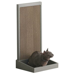 ACXI[} L̒܂Ƃ X^h^Cv P-NTS-700R