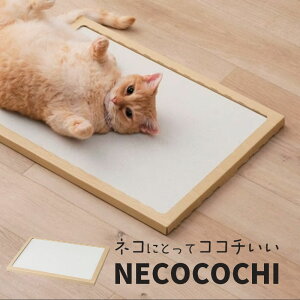 L xbh ėp ]y}bg Lp ACXI[} { NECOCOCHI lRR` NCC-45 ]y}bg L xbh }bg N[ mAXxXg Ђ Y ׂ~ P[Xt ˂ l