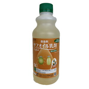 OATAOI TtIC 1L E _j K[fjO ƒ؉  S