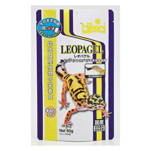 L[ ঒  IpQ 60g