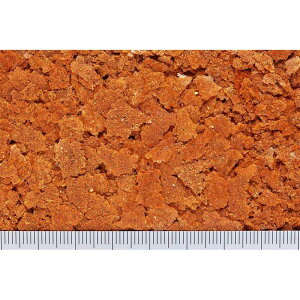 L[ Ϗ܋ Cpt[h }vX bh50g