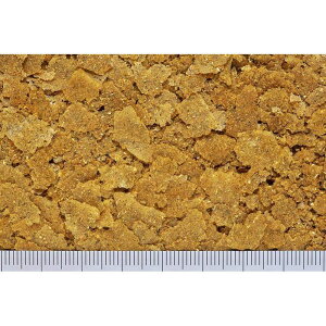 キョーリン 観賞魚 海水魚用フード マリンプロス グリーン50g