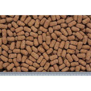 L[ ঒  ঒ ޗpt[hhC ȃJ̃GTnCp[NA 600g