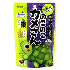 ひかり のこのこカメさん 40g キョーリン