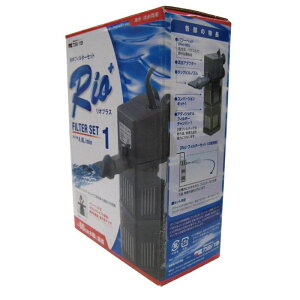 _{pi Ϗ܋ Ϗ܋ptB^[ RiotB^[Zbg1 60Hz