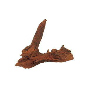 _{pi Ϗ܋ Ϗ܋pANZT[pi  